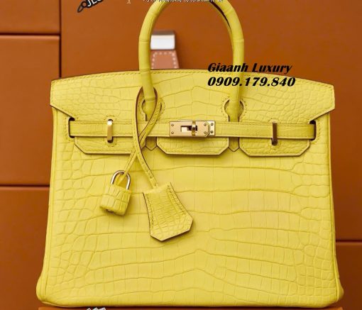 Túi Hermes Birkin 25 cm Da Cá Sấu Màu Vàng Vip 01