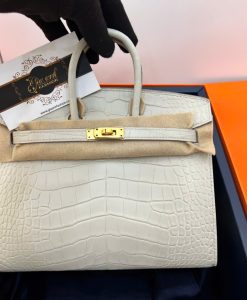 Túi Hermes Birkin 20 cm Da Cá Sấu Luxury