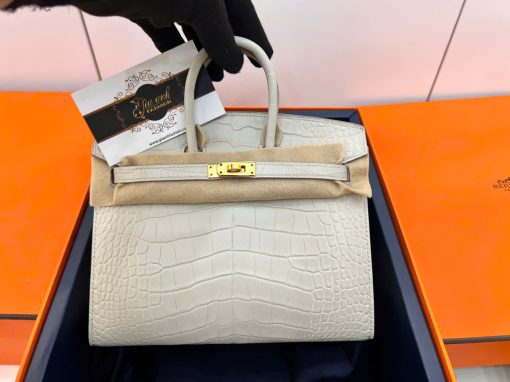 Túi Hermes Birkin 20 cm Da Cá Sấu Luxury