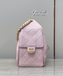 Túi Xách Chanel Hobo Size Small Pink Color 02